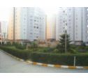 Beylikdz Ekiolu Akkent Sitesi Ve Trk Hava Yollar Sitesi 3+1 Satlk Daire